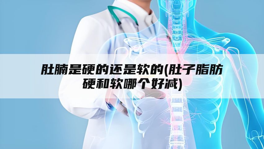 肚腩是硬的还是软的(肚子脂肪硬和软哪个好减)