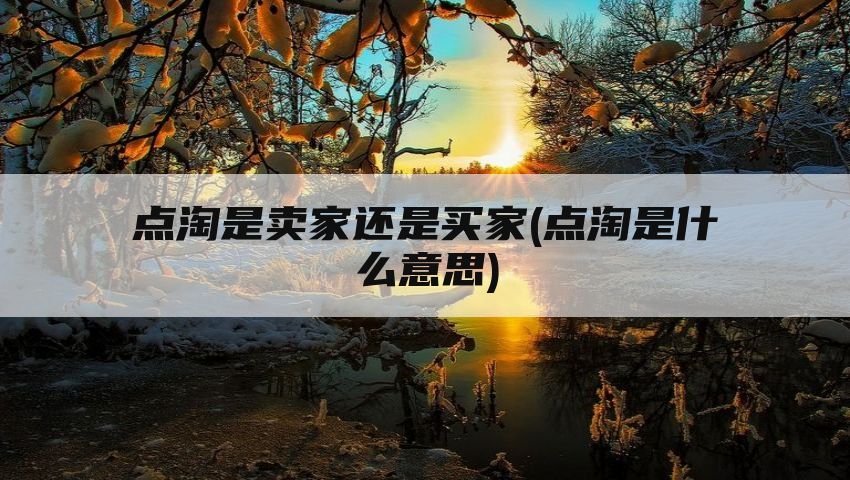 点淘是卖家还是买家(点淘是什么意思)