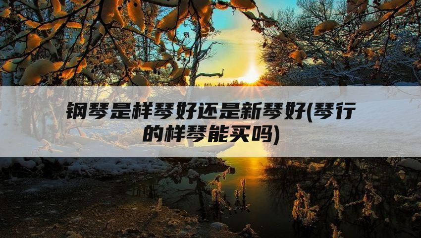 钢琴是样琴好还是新琴好(琴行的样琴能买吗)