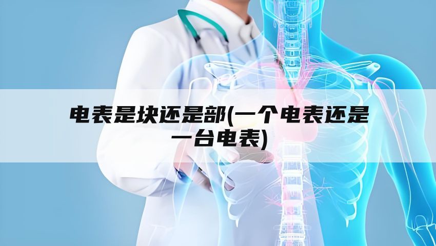 电表是块还是部(一个电表还是一台电表)