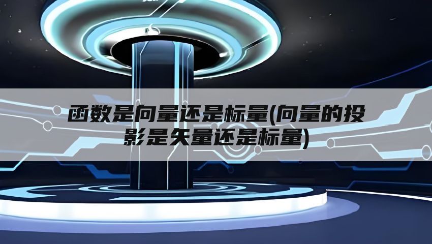 函数是向量还是标量(向量的投影是矢量还是标量)