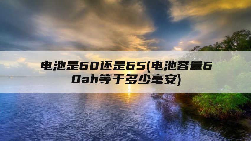 电池是60还是65(电池容量60ah等于多少毫安)