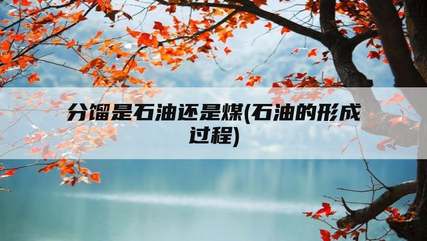 分馏是石油还是煤(石油的形成过程)