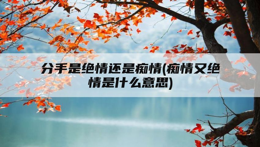 分手是绝情还是痴情(痴情又绝情是什么意思)