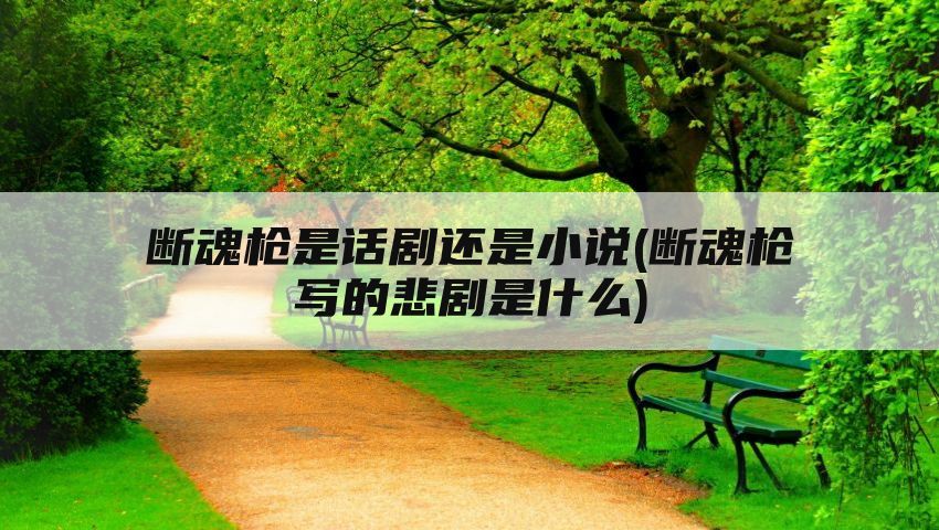 断魂枪是话剧还是小说(断魂枪写的悲剧是什么)