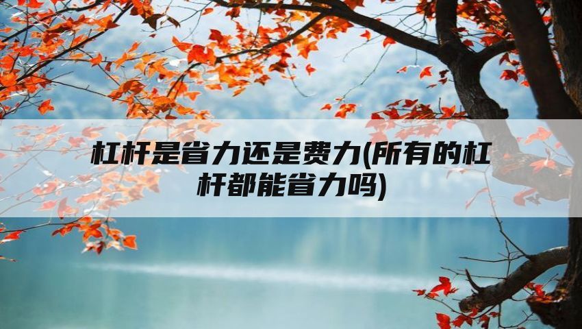 杠杆是省力还是费力(所有的杠杆都能省力吗)