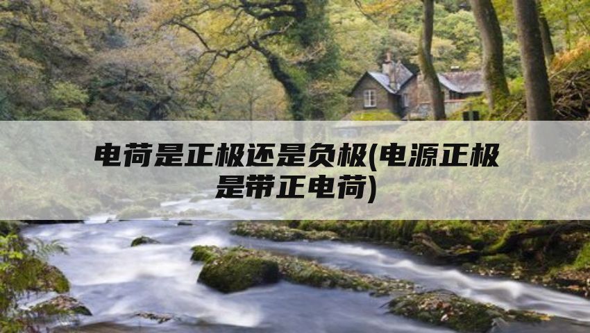 电荷是正极还是负极(电源正极是带正电荷)