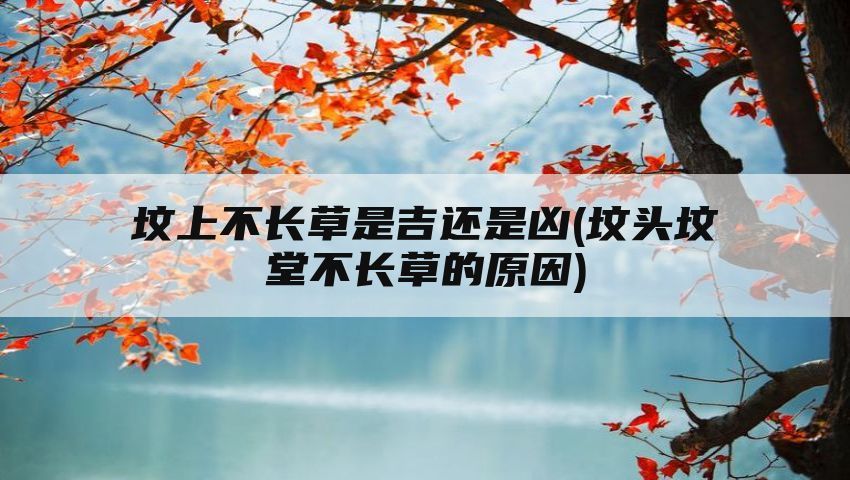 坟上不长草是吉还是凶(坟头坟堂不长草的原因)