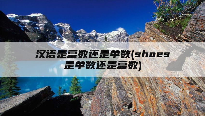 汉语是复数还是单数(shoes是单数还是复数)