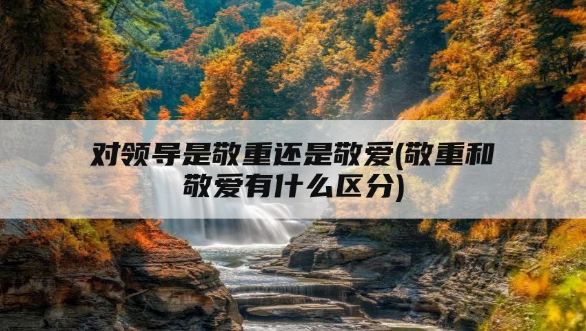 对领导是敬重还是敬爱(敬重和敬爱有什么区分)