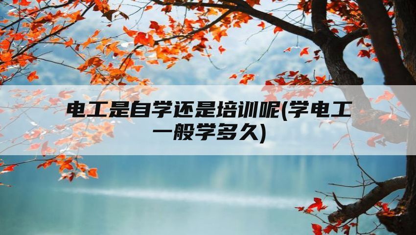 电工是自学还是培训呢(学电工一般学多久)