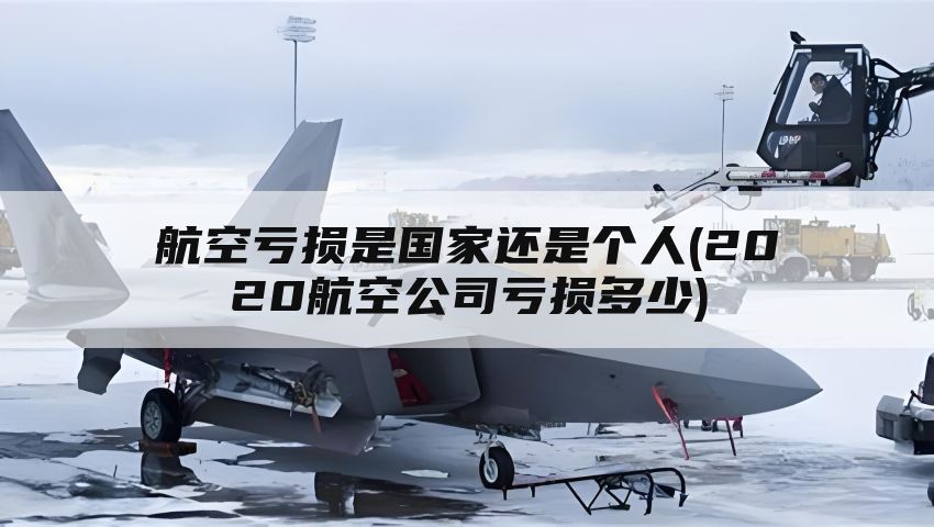 航空亏损是国家还是个人(2020航空公司亏损多少)