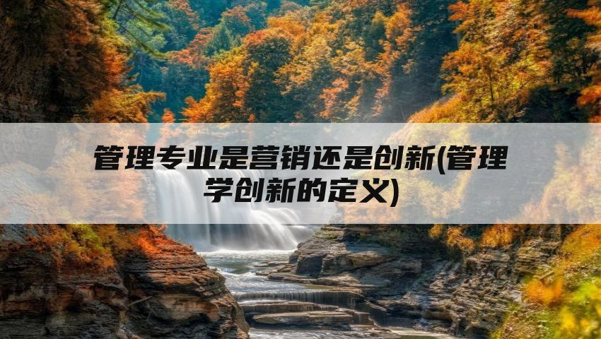 管理专业是营销还是创新(管理学创新的定义)