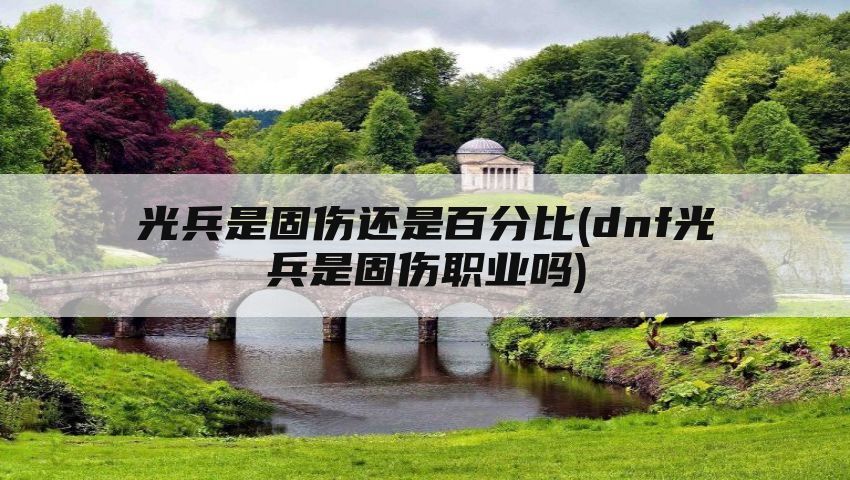 光兵是固伤还是百分比(dnf光兵是固伤职业吗)