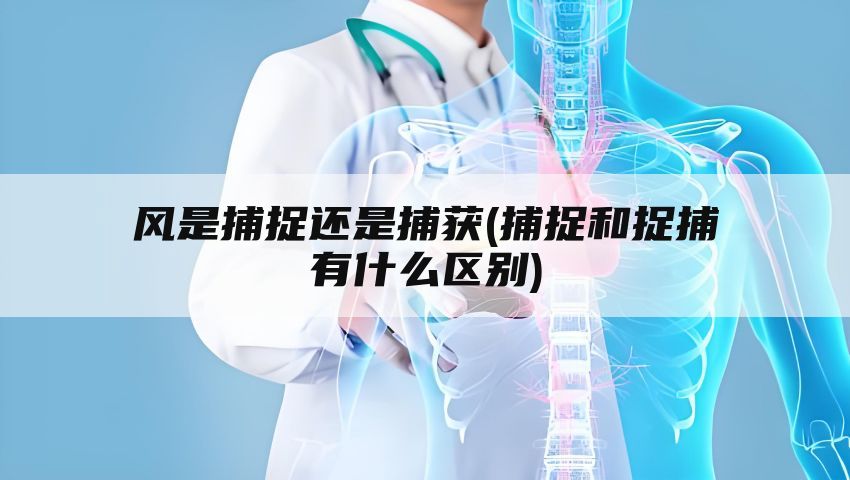 风是捕捉还是捕获(捕捉和捉捕有什么区别)