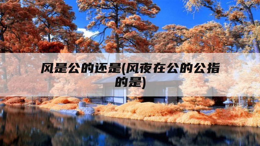 风是公的还是(风夜在公的公指的是)