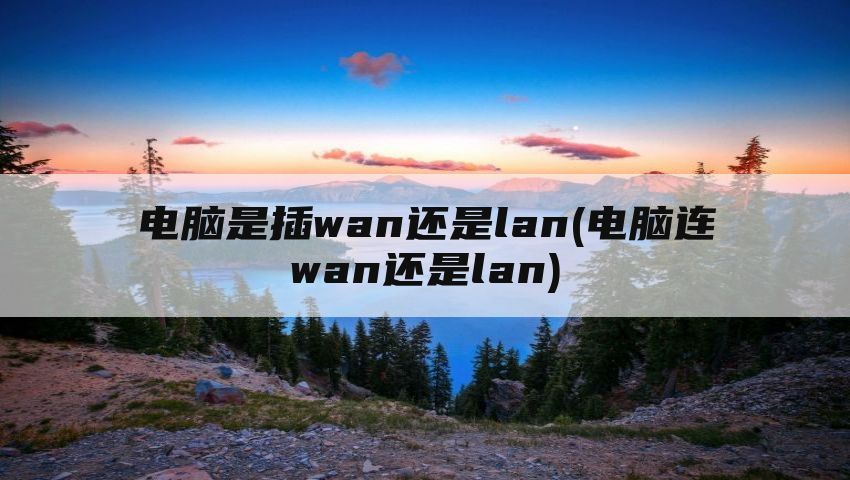 电脑是插wan还是lan(电脑连wan还是lan)