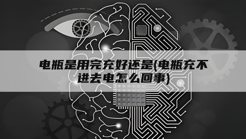 电瓶是用完充好还是(电瓶充不进去电怎么回事)