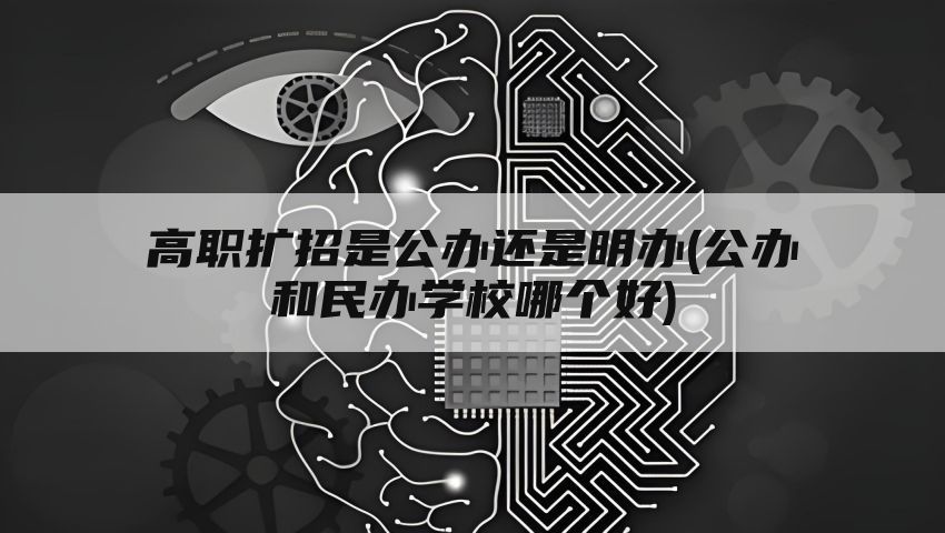 高职扩招是公办还是明办(公办和民办学校哪个好)