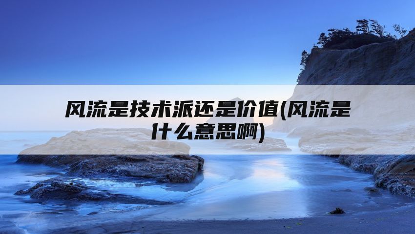 风流是技术派还是价值(风流是什么意思啊)