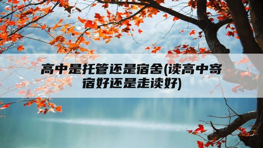 高中是托管还是宿舍(读高中寄宿好还是走读好)