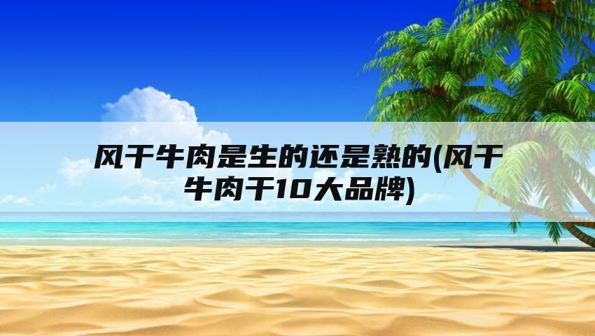 风干牛肉是生的还是熟的(风干牛肉干10大品牌)