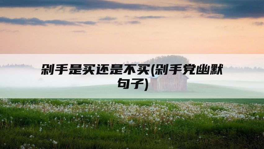 剁手是买还是不买(剁手党幽默句子)