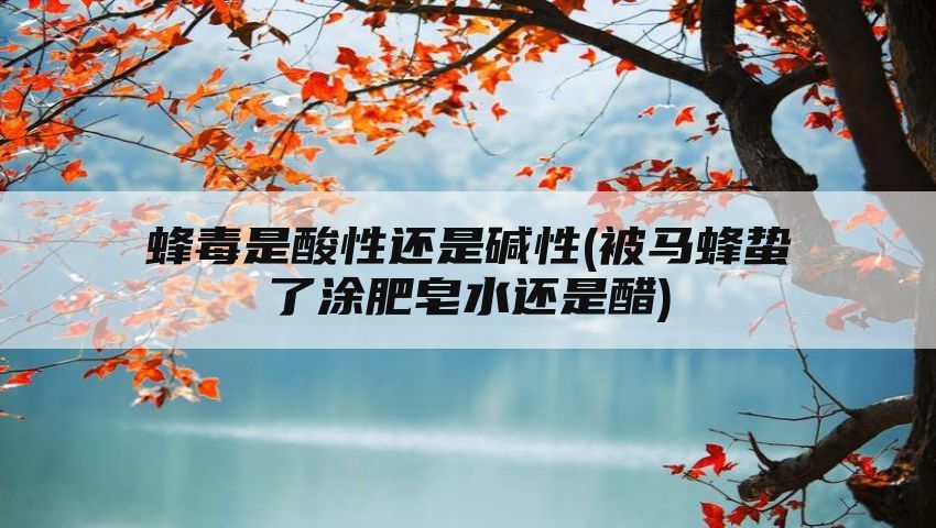 蜂毒是酸性还是碱性(被马蜂蛰了涂肥皂水还是醋)