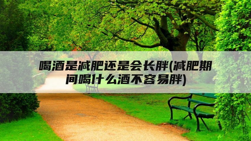 喝酒是减肥还是会长胖(减肥期间喝什么酒不容易胖)