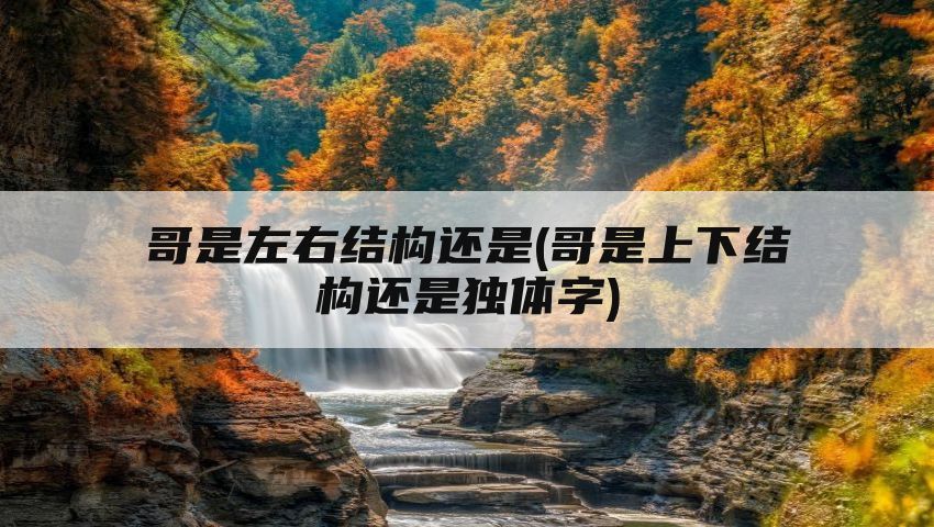 哥是左右结构还是(哥是上下结构还是独体字)