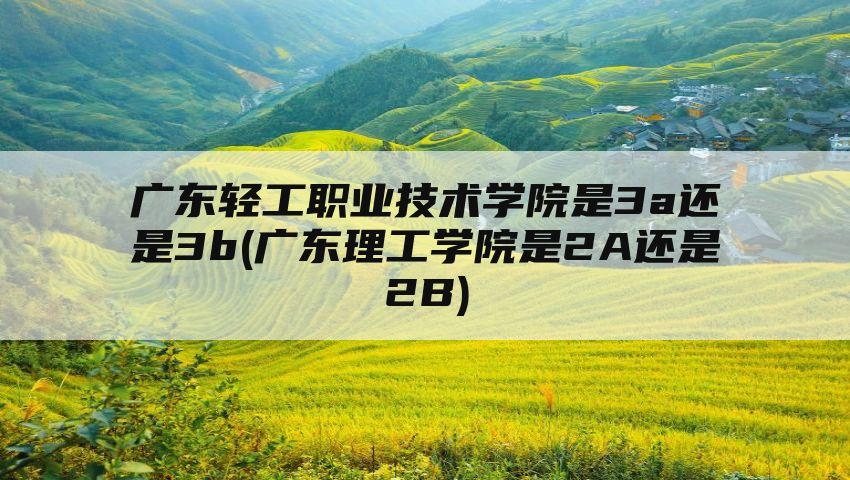 广东轻工职业技术学院是3a还是3b(广东理工学院是2A还是2B)