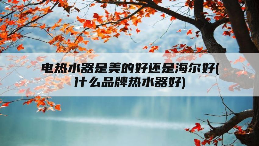 电热水器是美的好还是海尔好(什么品牌热水器好)