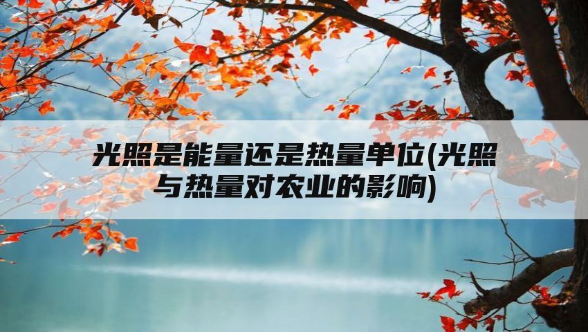 光照是能量还是热量单位(光照与热量对农业的影响)