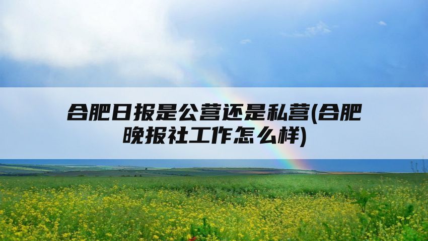 合肥日报是公营还是私营(合肥晚报社工作怎么样)