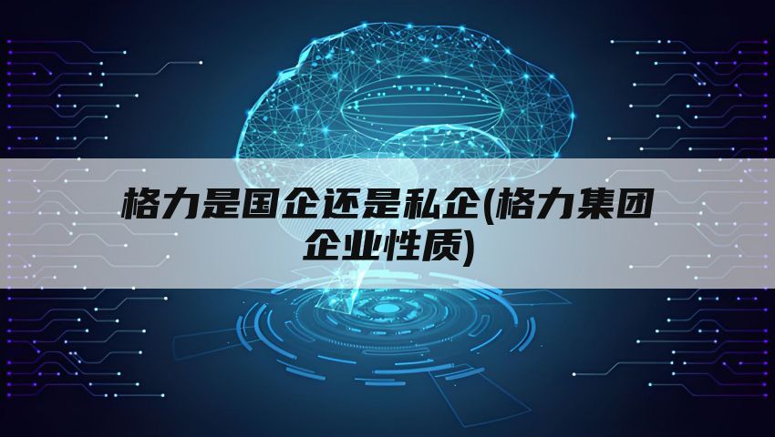 格力是国企还是私企(格力集团企业性质)