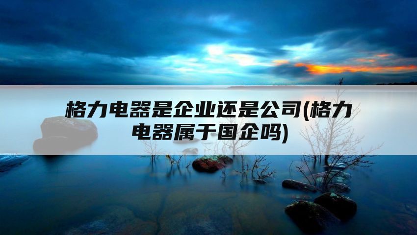 格力电器是企业还是公司(格力电器属于国企吗)