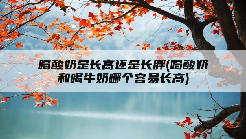 喝酸奶是长高还是长胖(喝酸奶和喝牛奶哪个容易长高)