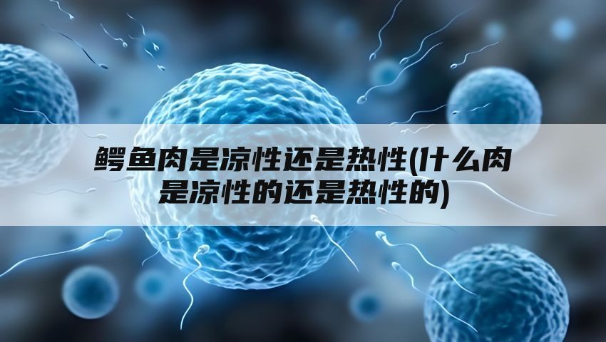 鳄鱼肉是凉性还是热性(什么肉是凉性的还是热性的)