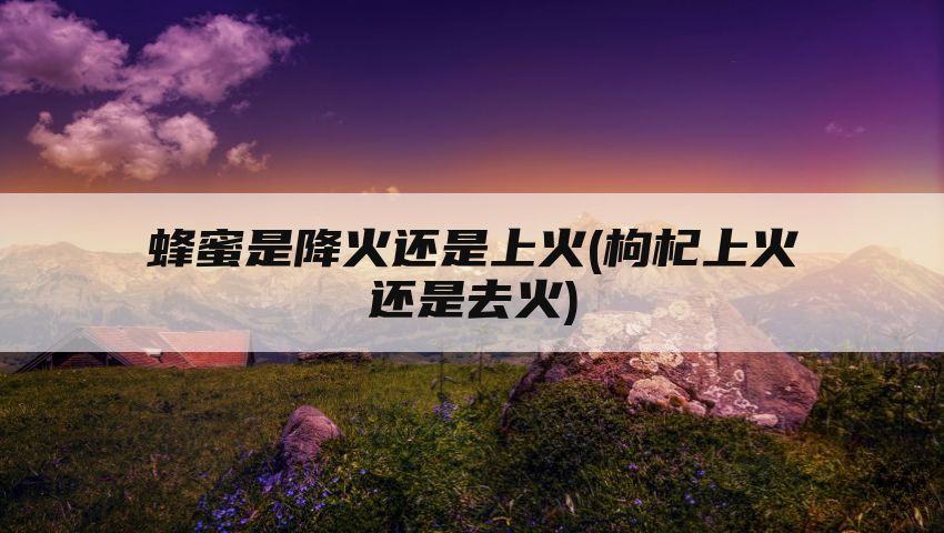 蜂蜜是降火还是上火(枸杞上火还是去火)