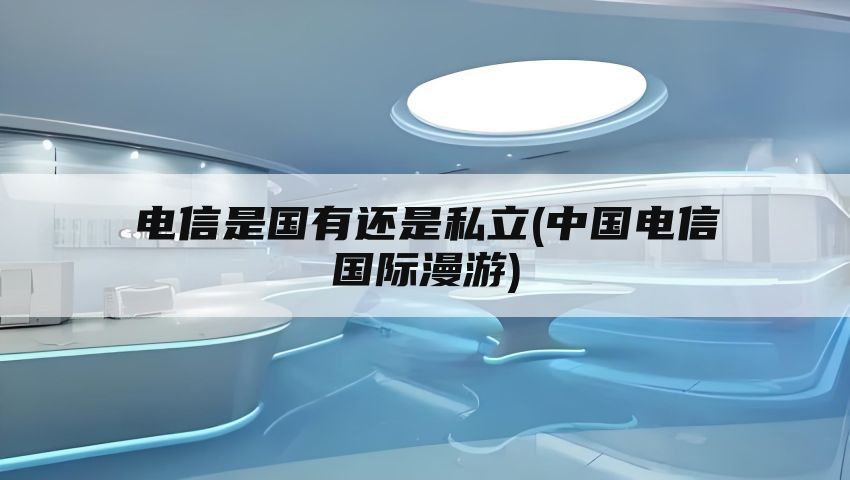 电信是国有还是私立(中国电信国际漫游)