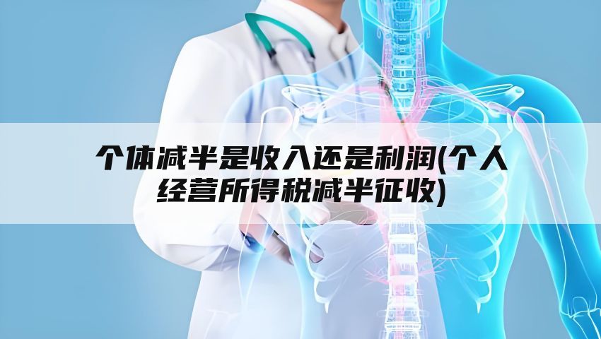 个体减半是收入还是利润(个人经营所得税减半征收)