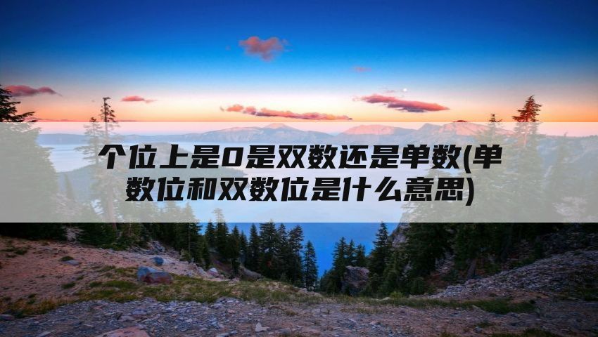 个位上是0是双数还是单数(单数位和双数位是什么意思)