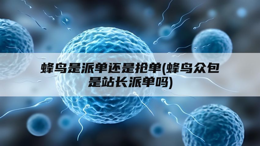 蜂鸟是派单还是抢单(蜂鸟众包是站长派单吗)